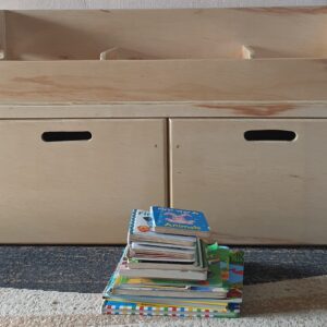 Book / Toy Bin With Storage