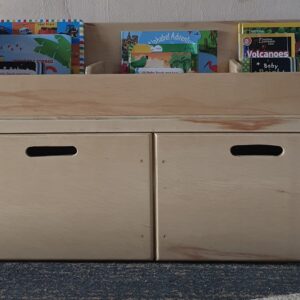 Book / Toy Bin With Storage