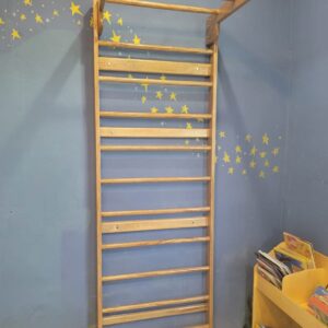 Wall Mounted Ladder with Pull Up bar