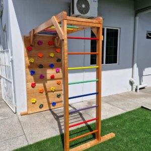 Jungle Gym- Wall Mounted