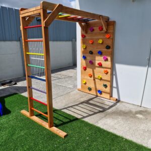 Jungle Gym- Wall Mounted
