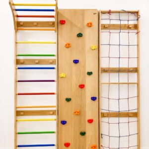 Wall Mounted Multi Gym